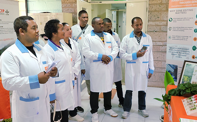 Delegates from Madagascar visiting IITA labs at ILRI in Kenya.